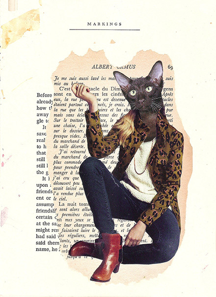 black-cat-with-Aircraft---72-_440